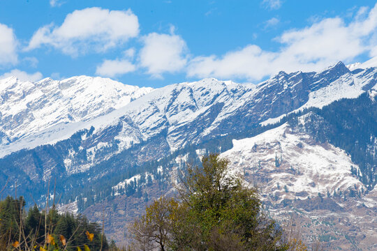 Snow-capped peaks of the Himalayas in Manali, India, shine under a bright blue sky. Pine forests blanket the slopes, capturing the pure beauty and calm of mountain winter landscapes.