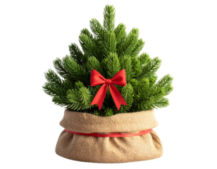 Rustic Mini Christmas Tree with Red Bow Decoration, Transparent Background
