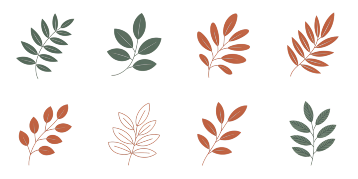 Collection of Stylized Autumn and Green Leafy Branches on Black fall