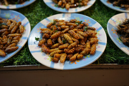 piatto di larve