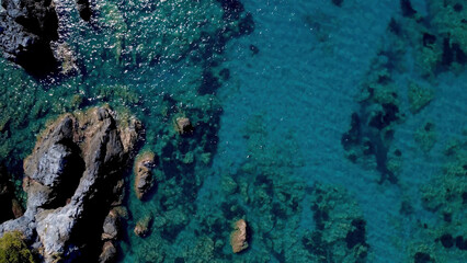 Clear Turquoise Water Reveals Rocky Sea Floor, Capturing the Beauty of Coastal Underwater Scenery During a Sunny Day