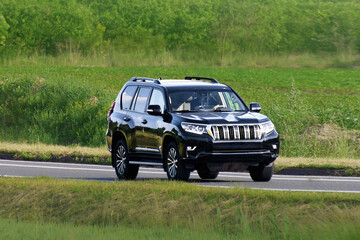 Fototapeta premium Adventure SUV traveling on forest road in summer