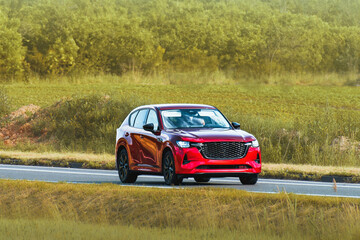 Fototapeta premium SUV driving near trees on peaceful road