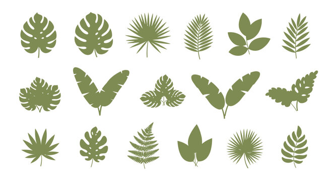 Elegant assortment of diverse tropical foliage, stylized silhouettes showcasing botanical