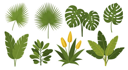 Exotic vector illustration of diverse tropical plants and foliage for vibrant designs