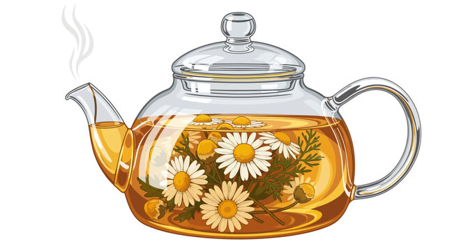 chamomile tea in glass teapot, steaming clip art preview