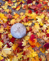 Colorful Autumn Leaves Surround a Weathered Ball Resting on the Ground During Fall