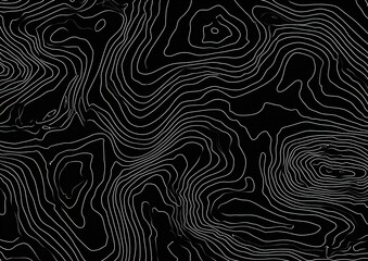 Abstract rendering depicting contoured lines in a topographic style on a dark background