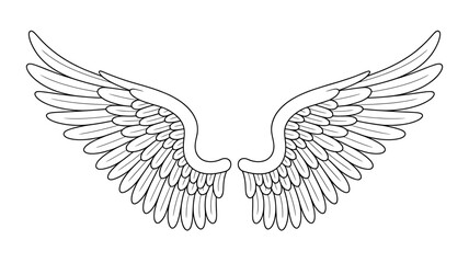 Obraz premium Elegant Wing Illustration Black and White Line Art Featuring Feathers for Tattoo Design and Creative Projects