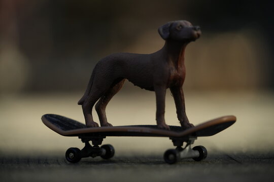 Small dog figurine balancing on a skateboard with a blurred background
