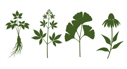 Botanical illustration featuring a selection of distinct plant silhouettes in shades of green on a