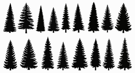 Obraz premium Silhouette collection of various evergreen fir trees arranged in two rows against a white background