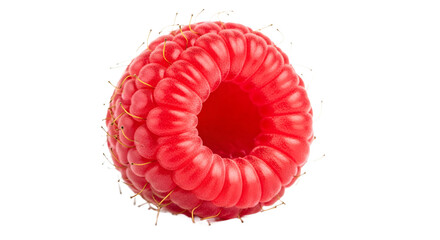 A single raspberry isolated on a black background on transparent background, png