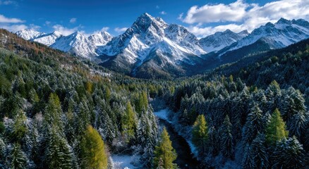 aerial view of the dolomites in winter, a snow-covered forest with yellow larch trees and green spruce trees