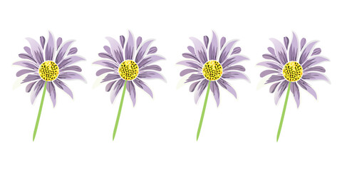 Beautiful Purple Flowers with Yellow Center on White Background

Elegant Violet Daisies Illustration with Green Stems

Purple Floral Design Isolated on White

Spring Blooming Purple Flowers Clipart

S