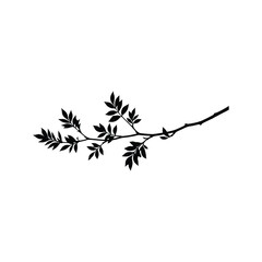 Silhouette of a Branch with Leaves leaf vector nature plant tree botanical design illustration graphic element isolated art drawing