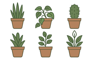 Six different popular indoor houseplants in brown pots on a clean white background
