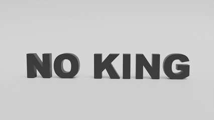 A close-up of a black 3D lettering NO KING on a light background