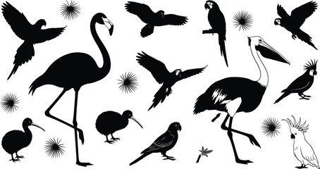 Exotic bird silhouette vector, flamingo, parrot, kiwi, pelican, cockatoo, black wildlife icons, tropical species, flying and standing poses, nature design