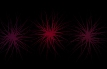 Fototapeta premium Three abstract glowing red and pink starbursts or explosions of light emanating from a dark background creating a sense of energy and cosmic wonder