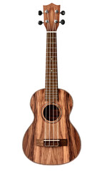 Obraz premium A detailed, realistic illustration of a wooden ukulele against a solid black background