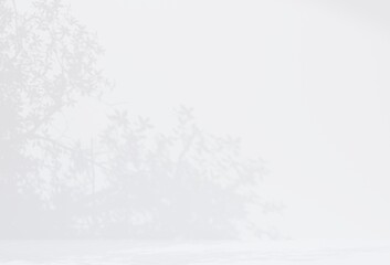 背景素材_木漏れ日