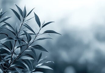Teal leaves, soft focus. Bokeh. Delicate, tranquil image
