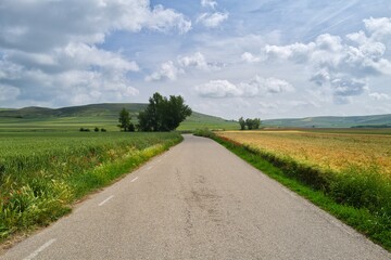 길거리 경관 자연 네이처 들판