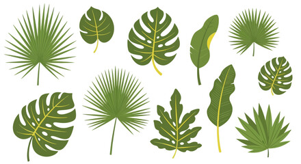 Fototapeta premium Illustration of diverse green tropical leaves set, evoking nature's vibrant abundance and plant