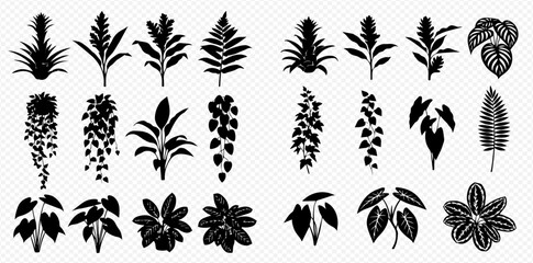 Detailed collection of various plant silhouettes, including tropical foliage, ferns, and hanging vines, on a transparent background.