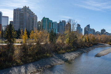 Obraz premium autumn in the city