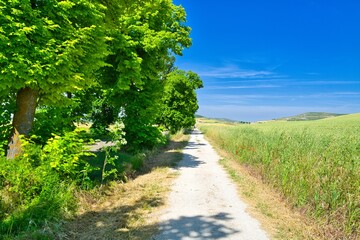 길거리 경관 자연 네이처 들판