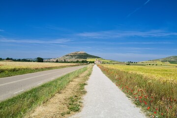 길거리 경관 자연 네이처 들판