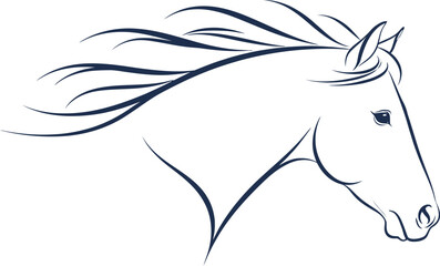 Horse head equine animal mammal stallion mare equestrian wild beauty freedom power