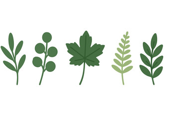 Diverse collection of stylized green foliage elements and natural botanical leaves