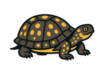 Fototapeta premium Vector Illustration of a Box Turtle