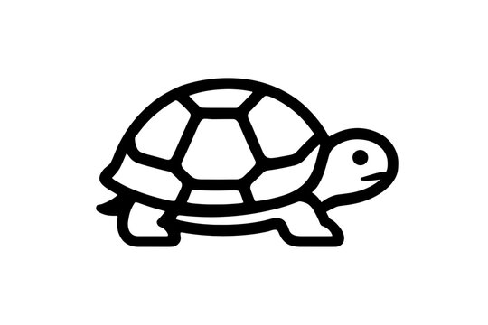 Vector Illustration of a Box Turtle