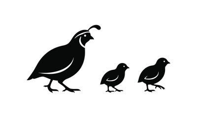 Quail Bird Family Silhouette – Mother Quail with Chicks Vector Illustration