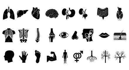 A comprehensive collection of sleek black silhouette icons depicting human anatomy, internal organs, and various body parts for scientific illustration