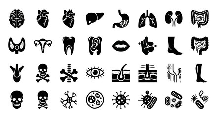 Human Anatomy Icons Brain, Heart, Liver, Lungs, and Kidneys. Medical Symbols and Health Illustrations