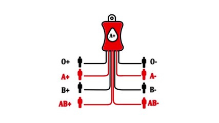 Blood type compatibility chart with A negative blood bag and compatible recipient icons Keywords: blood type, compatibility, chart, diagram, medical, healthcare, science, donation, transfusion, A
