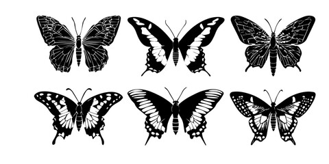 Collection of detailed black and white vintage butterfly illustrations arranged in two rows © darkheaven