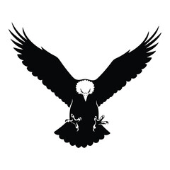 Obraz premium A majestic bald eagle soars with its wings fully extended, a powerful symbol of freedom and strength, isolated on white background