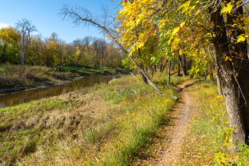 Obraz premium path in the woods