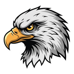 Fototapeta premium Detailed vector illustration of an eagle head with intense gaze, a symbol of courage and vision, isolated on white background mascot design