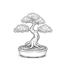 Line art drawing of a traditional bonsai tree in a pot