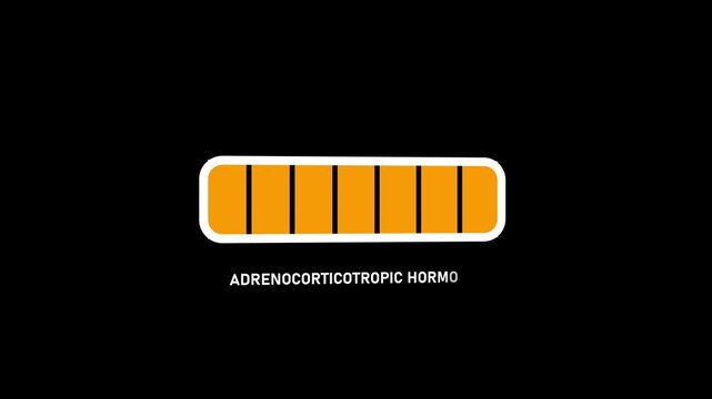 Progress bar. Hormone adrenocorticotropic growth indicator.