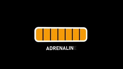 Progress bar. Hormone adrenaline growth indicator.