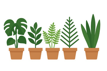 Fototapeta premium Set of popular indoor houseplants including Monstera and snake plant in terracotta pots