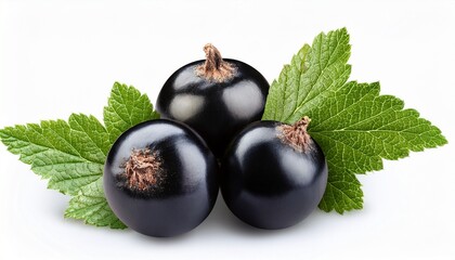 fresh blackcurrant berries with green leaves isolated on white background
